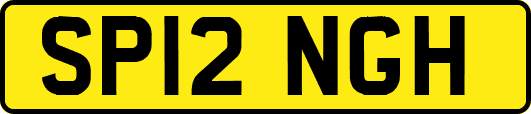 SP12NGH