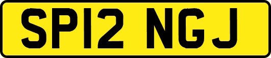 SP12NGJ