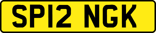 SP12NGK
