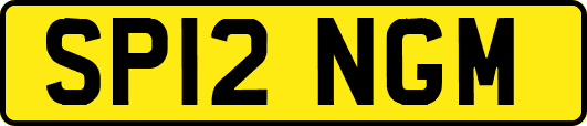 SP12NGM