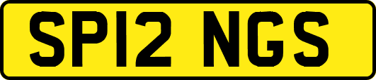 SP12NGS