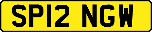 SP12NGW