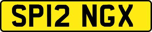 SP12NGX