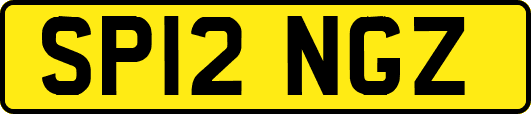SP12NGZ
