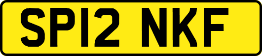 SP12NKF
