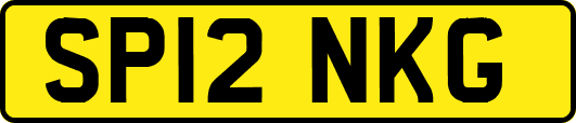SP12NKG