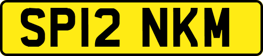 SP12NKM