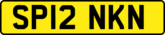 SP12NKN