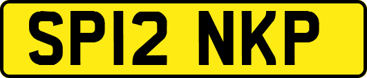SP12NKP