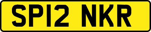 SP12NKR