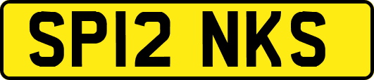 SP12NKS