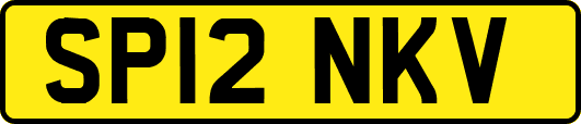 SP12NKV