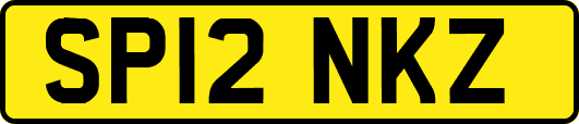 SP12NKZ