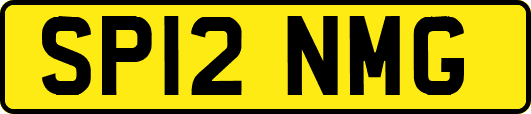 SP12NMG