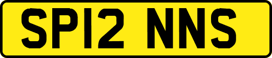 SP12NNS