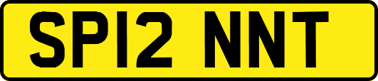 SP12NNT