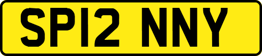 SP12NNY
