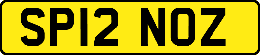 SP12NOZ