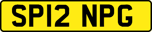 SP12NPG