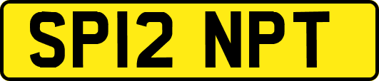 SP12NPT