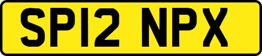 SP12NPX