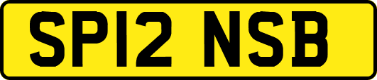 SP12NSB