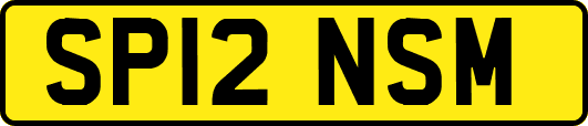 SP12NSM