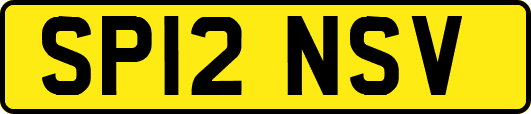 SP12NSV