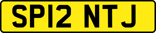 SP12NTJ