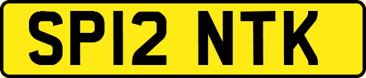 SP12NTK