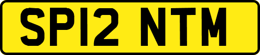SP12NTM