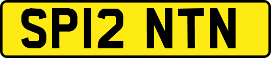 SP12NTN