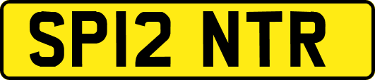 SP12NTR