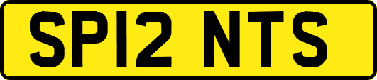 SP12NTS