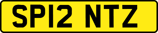 SP12NTZ