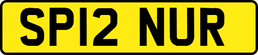 SP12NUR