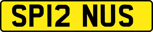 SP12NUS