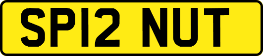 SP12NUT