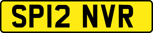 SP12NVR