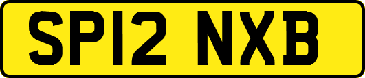 SP12NXB