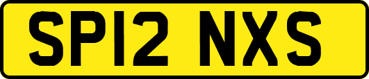 SP12NXS