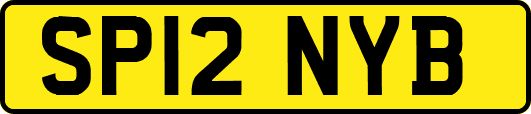SP12NYB