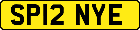SP12NYE