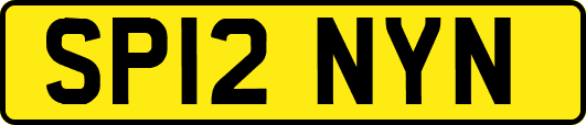 SP12NYN