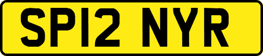 SP12NYR