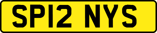 SP12NYS