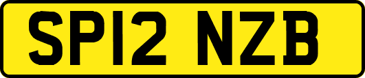 SP12NZB