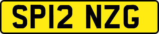 SP12NZG