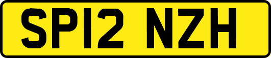 SP12NZH