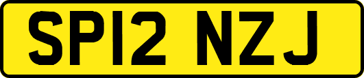 SP12NZJ
